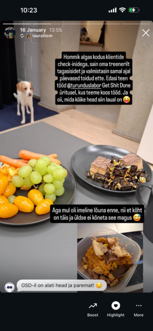 Turunduslabor